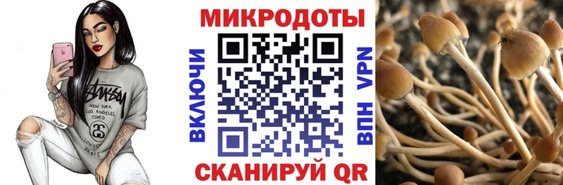 Галлюциногенные грибы GOLDEN TEACHER  закладка  Ильский 